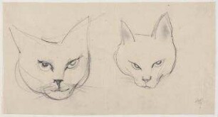 Katzen