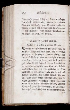 Einunddreyzigstes Kapitel. Handelt von vielen wichtigen Dingen.