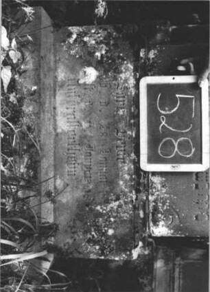 Grabstein 528 (Index: 99895478) Material: Sandstein Zustand: gut, Sockel verwittert Maße HxBxT: 161x60x12 cm Beschreibung: Stele mit Palmettenaufsatz; profilierter Sockel: Grabstein 528 (2)