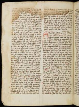 Sermones de conceptione Mariae