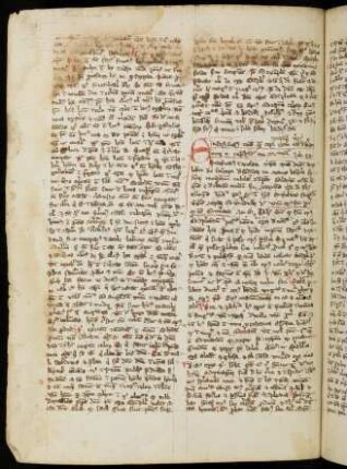 Sermones de conceptione Mariae