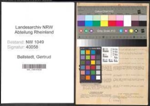 Entnazifizierung Gertrud Bellstedt , geb. 27.10.1897 (Rendantin)