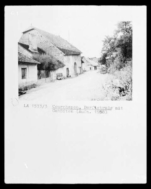 Dorfstraße mit Gehöften