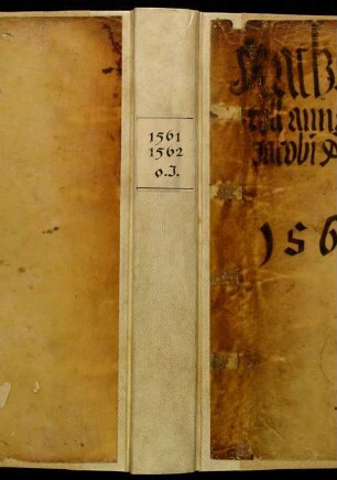 Ratsprotokolle, 1561 Juli 27. - 1562 Juli 26.