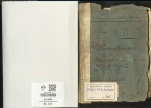 Lehensprotokollbücher (Lehnerbungsbücher) der Mannkammer Randerath. 15. Jahrhundert, 1514, 1539, 1541, 1561.