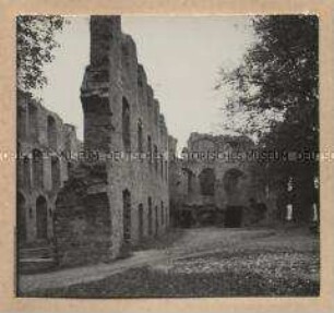 Burg Neu-Leiningen