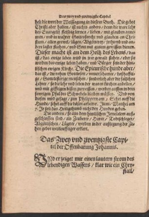 Das Zwey und zwentzigste Capitel der Offenbarung Johannis.