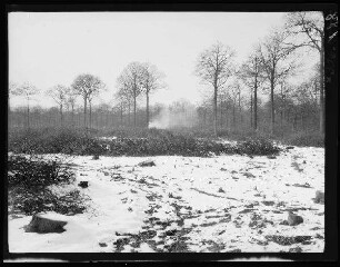 Bei Phalempin (Dep. Nord, Frankreich): schneebedeckter Waldrand, im Vordergrund Strauchwerk, im Hintergrund aufsteigender Rauch ("Köhlereibetrieb im Wald von Phalempin")