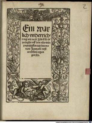 Ein warlich vnderrichtung wie es zu Zürch by de[n] zwinglin vff den nün vndzventzigsten tag des monats Januarii nestuerschine[n] ergangen sey