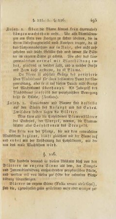 Blätter im engern Sinn. § 116
