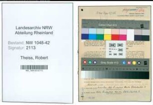 Entnazifizierung Robert Theiss , geb. 06.05.1889 (Fabrikant)