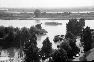 Breisach: Blick vom Münsterberg auf Hafen mit Schiff