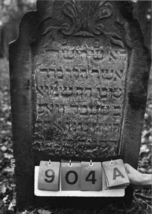 Grabstein 904 (Index: 99753234) Material: Sandstein Zustand: leicht verwittert Maße HxBxT: 98x51x10 cm Beschreibung: Stele, geschwungen eingezogener Rundbogenabschluß, Schriftfeld eingetieft Symbolik: Muschel, Ranken: Grabstein 904A