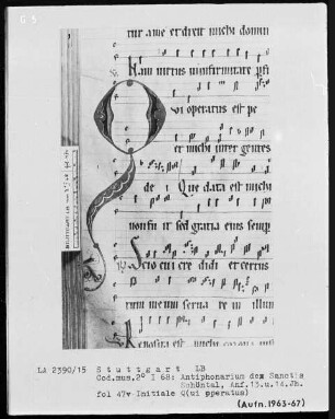 Antiphonarium de Sanctis (Zisterzienserhandschrift) — Initiale Q(ui operatus), Folio 47verso