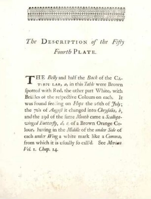 The Description of the Fifty Fourth Plate