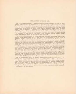 Explanation of plate XIII.