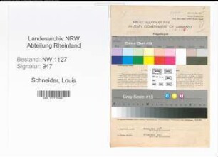 Entnazifizierung Louis Schneider , geb. 20.04.1884 (Strumpfstricker)
