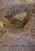 Heide (Kreis Dithmarschen): Hochfeld: Grenzstein