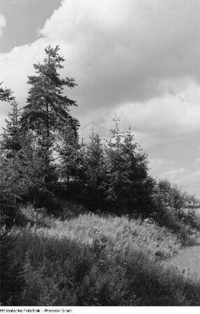 Landschaft