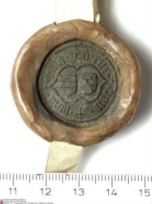 Die Schwestern Elisabeth (Else) von Buchenau und Sophia (Fye) von Buchenau, Töchter des verstorbenen Neidhard (Nithart) von Buchenau, bekunden für...