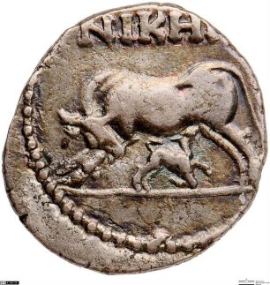 Apollonia