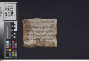 Zotzenbach: Eberhard Schenk v. Erbach verschreibt dem Kloster Weinheim ein Seelgeräte von einem Malter Korn auf den Zehnten zu Zotzenbach