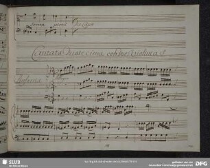Cantata Duodecima con Due Violini a S