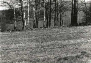 Schmölln-Putzkau. Oberhofberg. Baumkante mit Feldsteinen am Aussichtspunkt
