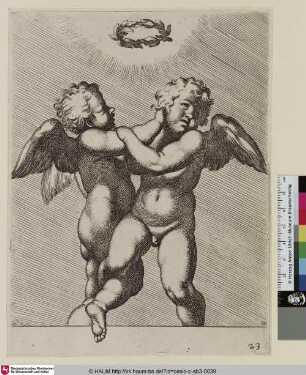 [Deux Amours qui luttent ensemble. On remarque au-dessus d'eux une couronne de laurier en l'air]