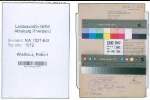 Entnazifizierung Robert Wiethaus , geb. 19.06.1893 (Richter)