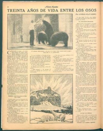 Treinta años de vida entre los osos