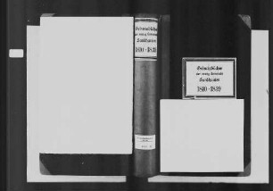 Sandhausen, evangelische Gemeinde: Geburtenbuch 1810-1839