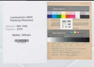 Entnazifizierung Wilhelm Mettler, geb. 20.02.1900 (Bergarbeiter)