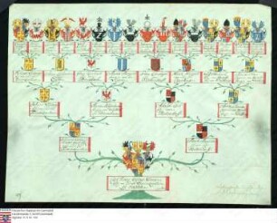 Ahnenprobe des Karl Franz Philipp Valentin v. Frankenstein zu Ockstadt. - ausgefertigt 1739 Juni 18 (Mainz) , Pergament