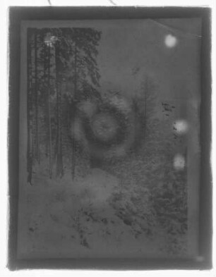 Verschneiter Waldweg