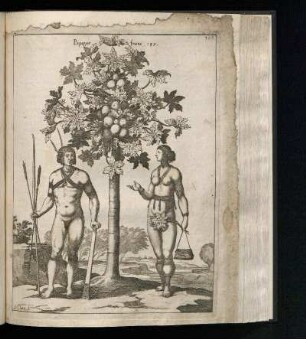 [Homme et femme des Antilles]