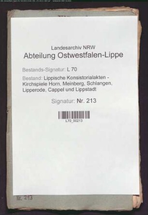 Dispense in Ehesachen; Eheklage der Frau des Rektors Schmidt
