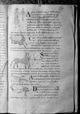 Isidorus Hispalensis, De natura rerum, Etymologiae (lib. 3, interpol.); Computus (1-72r); Isidorus Hispalensis, Sententiae (73v-93). — Sternbilder, Folio fol. 29r