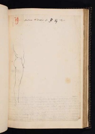 Albrecht Dürer, unvollendete Seitenansicht eines männlichen Akts, Entwurf zu „Vier Bücher von menschlicher Proportion“, Bl. Y3r