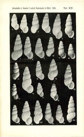 Tafel XIV