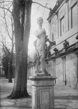 Satyr