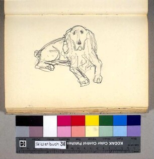 Der Cockerspaniel der Familie Schniewind
