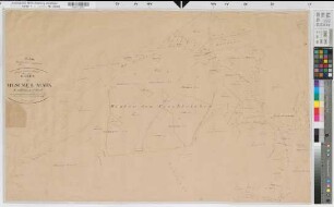 Mesum (Rheine), Teilung der Mesumer Mark, Bl.1 Brouillonkarte