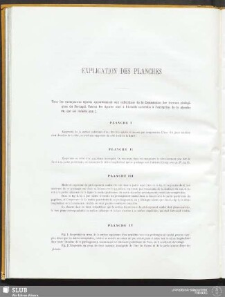 Explications des planches