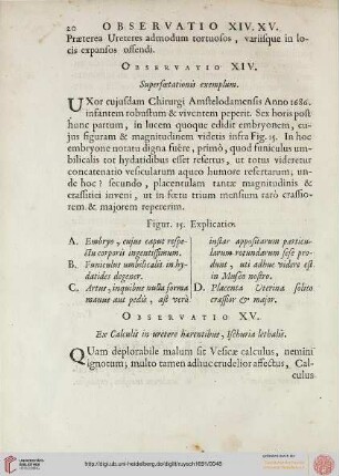 Observatio XIV