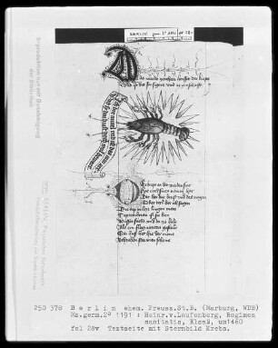 Heinrich von Laufenberg, Regimen sanitatis, deutsch — Sternbild Krebs, Folio 28verso