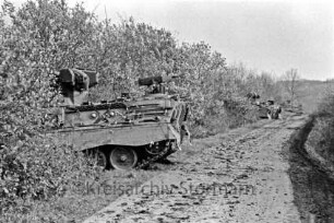 Herbstmanöver "Brisk Fray": Nordstormarn: getarnte Panzer in Knick: rechts Wirtschaftsweg