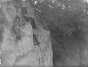 Gartenrotschwanz : Rochlitzer Berg, Gartenrotschwanz (Phoenicurus phoenicurus L.) vor der Nisthöhle.