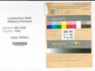 Entnazifizierung Wilhelm Liepe , geb. 30.01.1901 (Beamter)