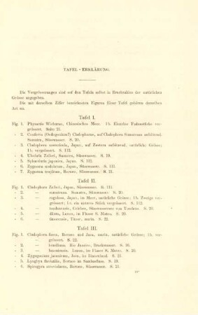 Tafel-Erklärung